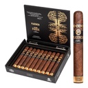 Plasencia Alma Fuerte Nestor IV Box of 10 - 5" 1/4 x 54
