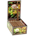 Tatiana Sweet Euphoria Classic Corona Box of 25 - 6" x 44