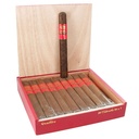 Aging Room Quattro Maduro Concerto Box of 20 - 7" x 50