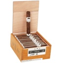 Cao Fasa Noche Gigante Box of 24 - 6" x 60