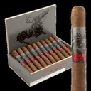 Chillin' Moose Robusto Box of 20 - 5" x 50