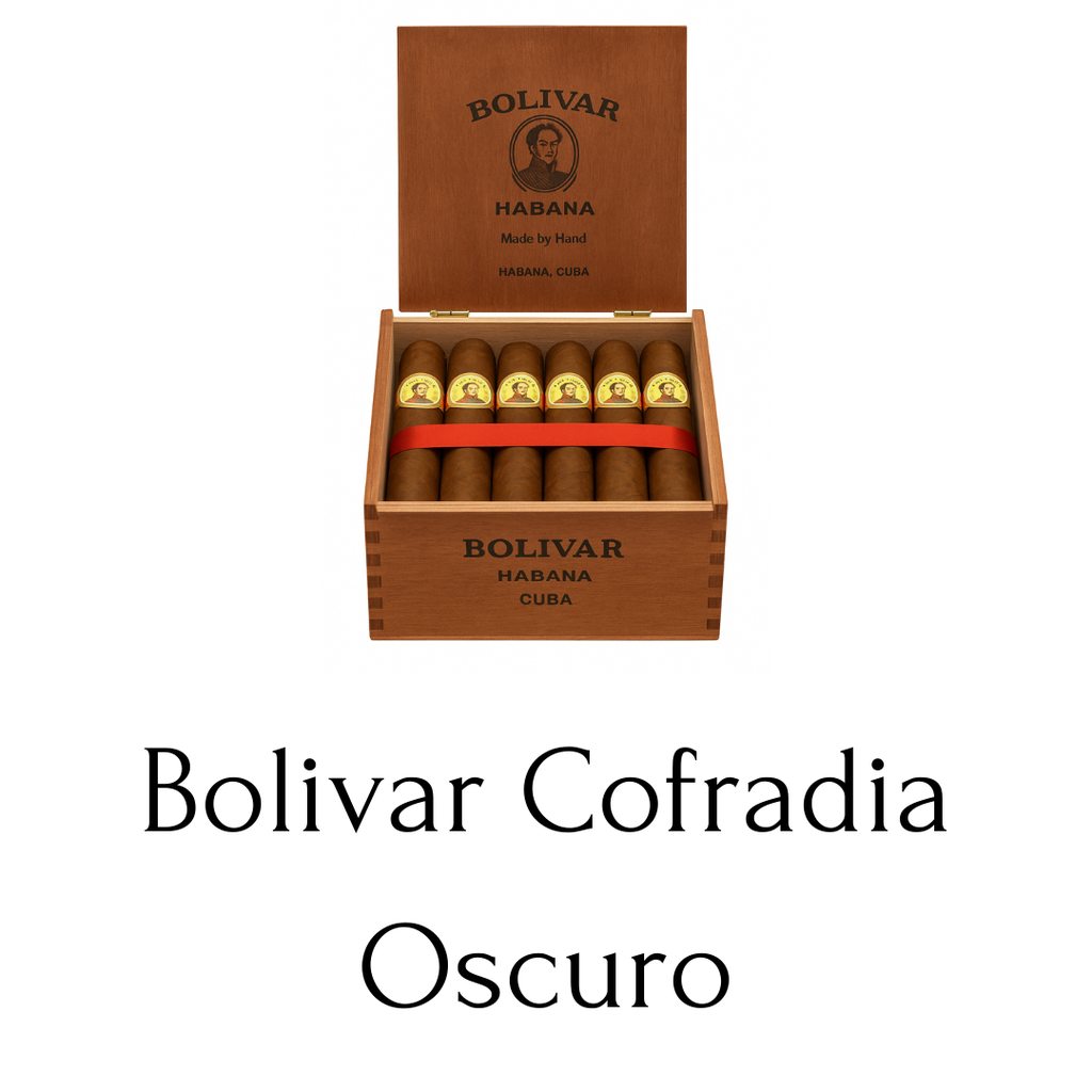 Bolivar Cofradia Oscuro