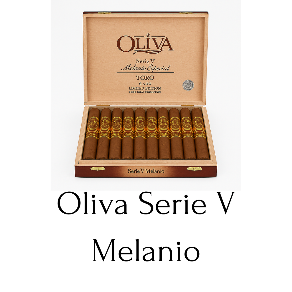 Oliva Serie V Melanio