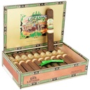 AJ Fernandez San Lotano Requiem Maduro Gran Toro Box of 20 - 6" x 60