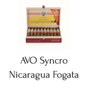 AVO Syncro Nicaragua Fogata