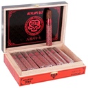 Asylum 867 Zero 50X5 